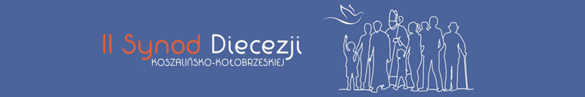 Synod Diecezji