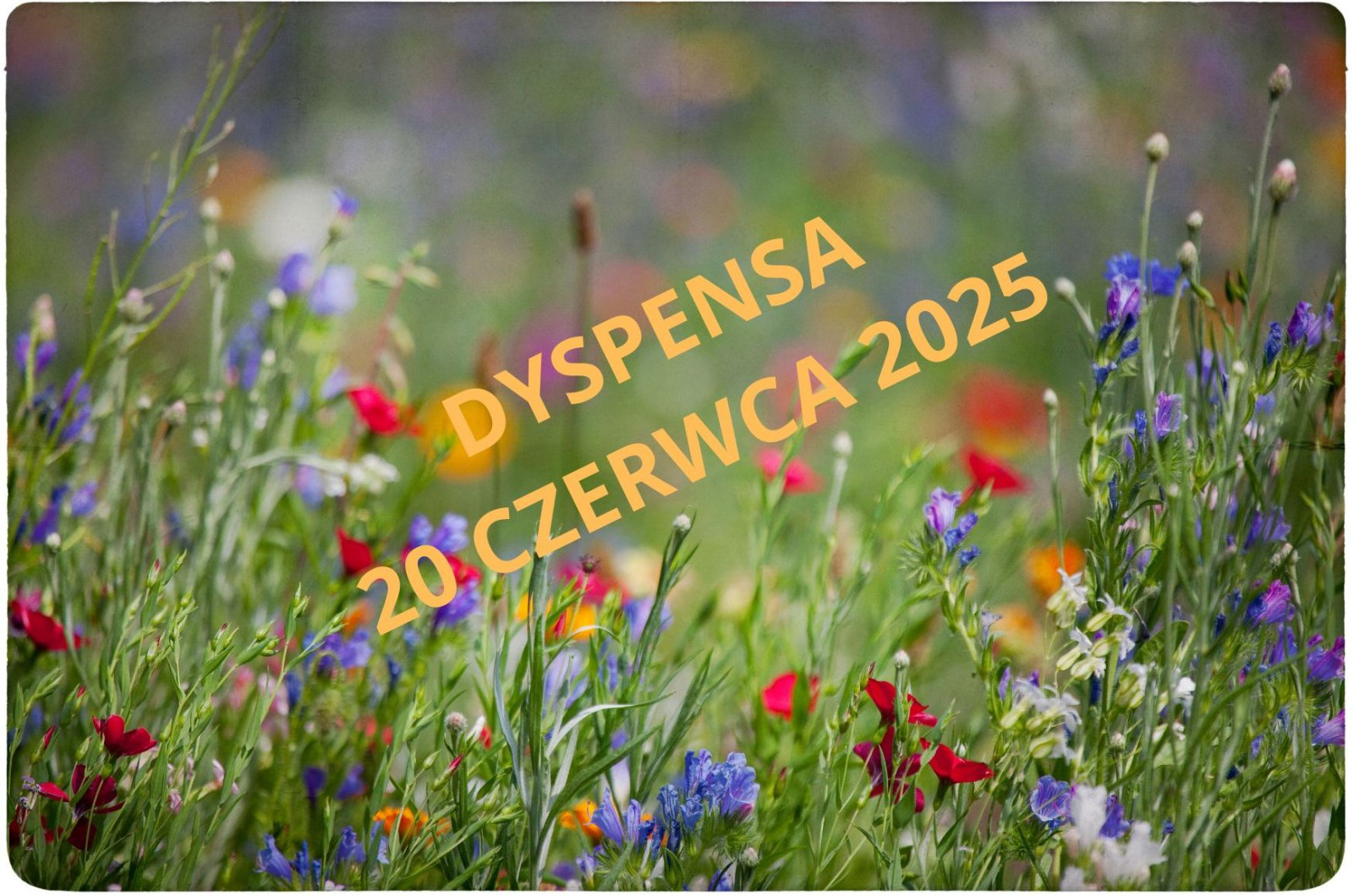 DYSPENSA